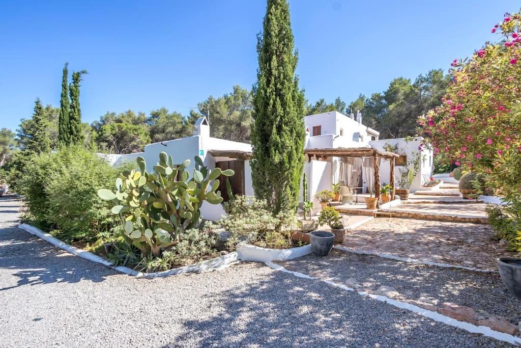 فيلا Santa Gertrudis في Casa Rosada - Gorgeous Family Finca Near Santa Gertrudis المظهر الخارجي الصورة